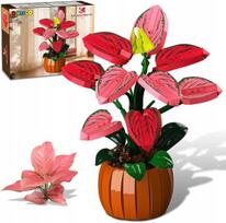 Hiweego Aglaonema Bonsai iš kaladėlių, 782 el.