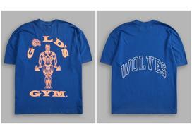 Darcsport & Gold's Gym bendro prekės ženklo minkštos medvilnės unisex sportiniai marškinėliai, kvėpuojantys trumpomis rankovėmis. US Size L blue