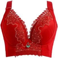 Push Up liemenėlė Didelio dydžio liemenėlės moterims 100 105 CD CUP Surinkti seksualūs nėriniuoti apatiniai be vielos liemenėlės su gėlėmis besiūlė bralette 40/90C raudona