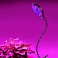 LED auginimo lempa viso spektro Fitolampy 5V USB pritemdoma augalo auginimo šviesos klipas Fito lempos laikmatis, skirtas kambarinių daržovių gėlių sodinukams