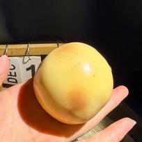 Bulvių Squishy Streso Kamuoliukas Pasidaryk Pats Rankų Darbo Minkštas Gleivių Žaislas Realistiškas Bulvių Košės Fidget Sensory Suspaudžiamas Žaislas Anti-Streso Dovana