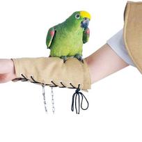 JIUJIU Papūga nuo įbrėžimų pečių apsaugos skara paukščių vystyklai papūgams Cockatiels paukščiams kulkšnies Arm guard geltona
