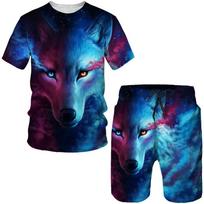 3D Spausdinti Klasikiniai Vilko Marškinėliai/Rinkiniai Vasaros Vyrams Moterims T-shirt&Šortų Kostiumas Asmenybė Sportiniai Kostiumai Hip Hop Gatvės Drabužiai 6XL blue