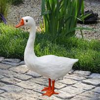Žąso Statulėlė Gyvūno Figūrėlė Dekoracija Švietimo Tikslams Juokingas Ornamentas Realistiška Skulptūra Svetainei Kieme Fermai Namams 38cm and 20cm