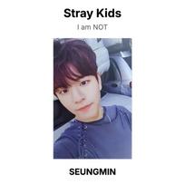 Stray Kids I am NOT Oficiali nuotraukų kortelė SEUNGMIN