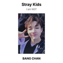 Stray Kids I am NOT Oficiali nuotraukų kortelė BANG CHAN
