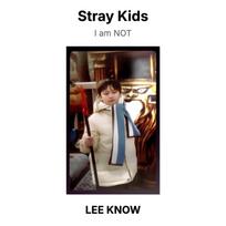 Stray Kids I am NOT Oficiali nuotraukų kortelė LEE KNOW 02