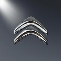 10,2*8,6cm Metalinė emblema Citroën C4 C3 C5 C1 DS3 DS5 DS4 Picasso priekinėi galinei daliai Logotipas Ženklelis OEM stiliaus Pakeitimas Blizganti juoda WP6 sidabras