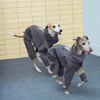 Šiltas šuns paltukas su apykakle, Žieminis vėjo striukė šunims Greyhound Whippet, Storesnis 4 kojų šuniuko kombinezonas, Neperšlampama apranga dideliems šunų veislėms (gray,2XL) pilka spalva