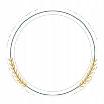 Apvalios etiketės 50 mm, tinka Phomemo M110, M120, M200, M220, M221, fi50