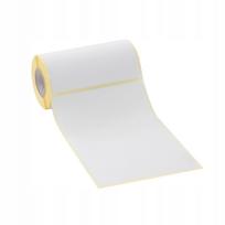 Terminės etiketės ZQ521, ZQ630, RJ4230, RJ4250, 100x150 mm, 19 mm, 100 vnt.