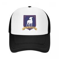 ted-lasso tikėti beisbolo kepuraitė derby skrybėlaitė gimtadienio skrybėlė nuo saulės kepuraitė moteriška Unisex white