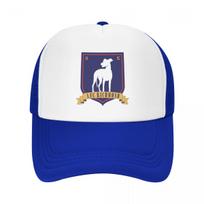 ted-lasso tikėti beisbolo kepuraitė derby skrybėlaitė gimtadienio skrybėlė nuo saulės kepuraitė moteriška Unisex white