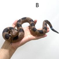 Realistiški netikri gyvatės žaislai, pokštų guminių gyvačių rekvizitai, paukščių gąsdintuvai, kobra, boa constrictor, koralinė gyvatė, barškuolė, Helovinas beige