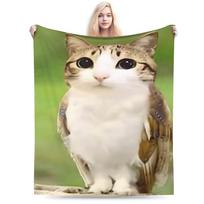 Meowl Meme Fuzzy Blanket Cat Owl Brainrot 90s Novelty Throw Blanket for  Sofa Bedding Lounge 200x150cm Bedspreads 130cmx150cm