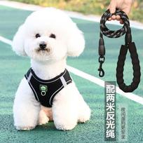Reguliuojama tinklelio petnešėlė mažiems šunims Pudeliui Teddy Ši cu kalytei Kvėpuojanti liemenės stiliaus pavadėlių rinkinys M for dogs 6-10 lbs