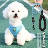 Reguliuojama tinklelio petnešėlė mažiems šunims Pudeliui Teddy Ši cu kalytei Kvėpuojanti liemenės stiliaus pavadėlių rinkinys S for dogs 3-6 lbs