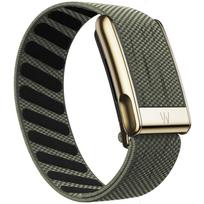Suitable for Whoop 5.0 Wristband Strap, Nylon Woven Elastic MG Sports Replacement Band with Bright Gold U-Shaped Metal Clasp WHOOP MG žalia