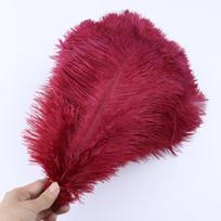 10vnt /Stalas Natūralių baltų stručio plunksnų vestuvių namų puošmena 15-20cm /25-30cm /30-35cm Stručio plunksnų stalo centrinė amatai 15-20cm bordinė