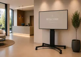celexon Expert Adjust-4286MB Mobilus Ekrano Stovas 42 inch-86 inch Ekranams, Anoduotas Aliuminis, Juodas (RAL 9005)
