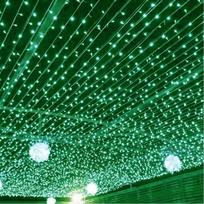 Kalėdinės užuolaidos šviesos girliandos šventė Linksmų Kalėdų dekoras namams Kalėdų papuošalai Kalėdų dovanos 3M(W)x2M(H) 200 LEDS žalia