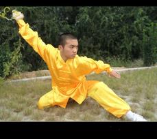 Vyriškas ir moteriškas Tai Chi kostiumas - Suaugusiųjų kovos menų praktikos ir pasirodymų rinkinys, Pavasaris/Ruduo XXXS geltona