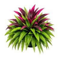 Artificial Fern Plant with Red Blood Flowers, Fake Plant for Home Indoor Decor One Size black