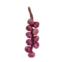 Namų dekoras Dirbtinių vaisių putos Daržovių Kukurūzai Pipirai Česnakai Kabantys Nuotrauka Prop Purple Garlic