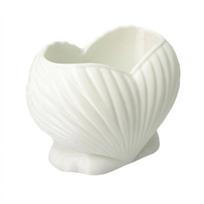 Aesthetic Shell Shape Toothpaste Toothbrush Holder Coastal Style Pen Storage Holder  Home Decor balta