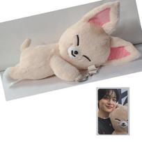 Stray Kids SKZOO Pliušinis krepšys celebrATE ( su fotokortele iš POP UP)