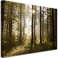 Spaudinys ant drobės Rytas miške 60x40 žalia