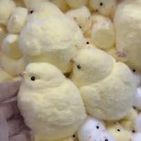 Gleivėtas Viščiukas Kawaii Rankų Darbo Silikoninis Minkštas Flokuotas Geltonas Viščiukas Plombas Minkštas Viščiukas Vaikams Gimtadienio Dovana Žaislas Mielas Gleivėtas Viščiukas