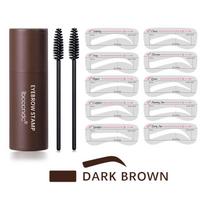 10 rūšių daugkartinio naudojimo antakių trafaretai Vieno žingsnio formavimo makiažo rinkinys antakių antspaudų formavimo rinkinys Antakių antspaudas Light Brown black