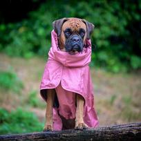 Naminių gyvūnų lietpaltis Šunims Vandeniui atspari su gobtuvu apsiaustas Lauko naudojimui Auksinis retriveris Labradoro S iki XXXXL PU medžiaga Large pink