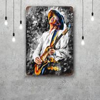 Stevie Ray Vaughan Grupės Skardinis Ženklas Namų Dekoras Sienų Dekoras Menas Sienų Tapyba Kambario Dekoras Retro Metalo Ženklas Plokštelė Baro Plakatai 20x30cm（7.8x11.8inch） gray