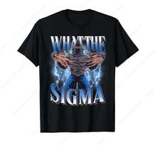 Sigma Šauni Juokinga Alpha Vilko Mėmė Marškinėliai Retro Atsitiktiniai Unisex Marškinėliai Kasdieniniai Minkšti Neutralūs Drabužiai Sportiniai Minkšti Unisex Viršutinė Dalis S gray