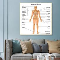 Žmogaus organai Smegenys Kepenys Širdis Anatomijos Plakatas Spaudinys Drobės Tapyba Žmogaus Kūno Žemėlapis Medicininė Klasė Biuro Kambarys Namų Dekoracija 30x30cm beige