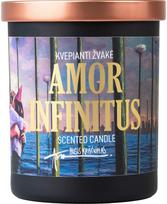 Kvepianti sojų vaško žvakė Amor Infinitus, 210 g