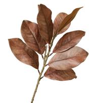 Gyvybiškos dirbtinės magnolijos lapų šakos 57 cm imituoti žali augalai lauko sodo dekoras kava
