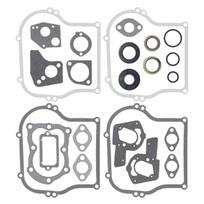 Tarpinių rinkinys tinka Briggs & Stratton 4-5 AG 495603 397145 297615 267615