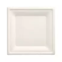 PAPSTAR Pure cukranendrių lėkštė, kvadratinė, 200 x 200 mm, 50 vienetų, kompostuojama, tinkama mikrobangų krosnelei 89744