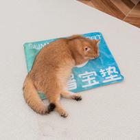 Dog Cooling Mat Cat Blanket Comfortable Ice Pad Sleeping Summer for Sofa 40cmx50cm blue