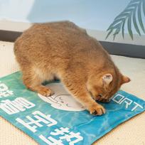 Dog Cooling Mat Cat Blanket Comfortable Ice Pad Sleeping Summer for Sofa 50cmx60cm