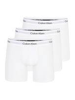 Calvin Klein Underwear Boxer trumpikės pilka / juoda / balta