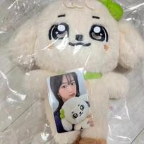 IVE Pop-up parduotuvė Minive pliušinis žaislas Wonyoung Yujin Kpop dovana Yujin white