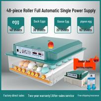 Automatinis namų inkubatorius vištų, ančių, žąsų, balandžių kiaušiniams 48 eggs, single power