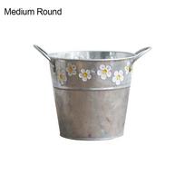 Home Decor Plants Storage Bucket Flower Pot Succulent Planting Vintage Iron Flowerpot Medium Round gray