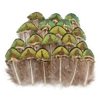 Natūralūs maži auksiniai povų plunksnų papuošalų gamybai kūrybiniams amatams 3-7cm DIY rankdarbių aksesuarai Plunksnos Karnavalo plunksnos 50pcs beige