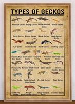 Retro metalinis skardinis ženklas  Tipai Geckos Plakatas Laukinių gyvūnų meno dekoras Žinių plakatas Vintažiniai Geckos Namų svetainės dekoras Faluminum 30x40cm(11.8x15.7inch) beige