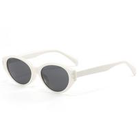 TR90 frame cat-eye sunglasses, unisex polarized sunglasses for street photography A4
